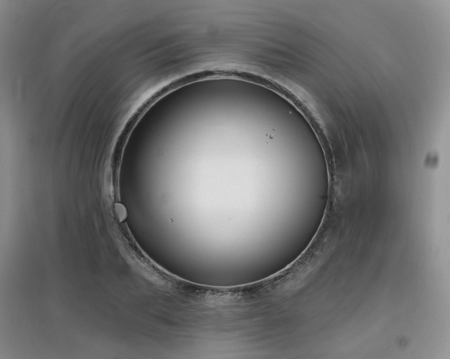 X0000097910887200803141416