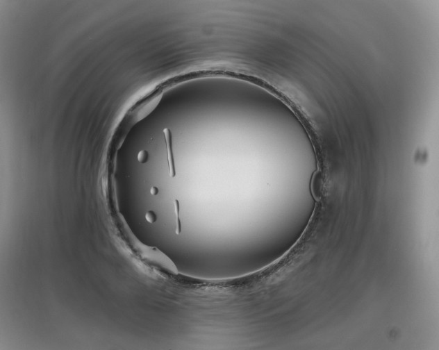 X0000097910888200803141416