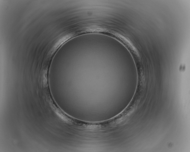 X0000097910889200803141416