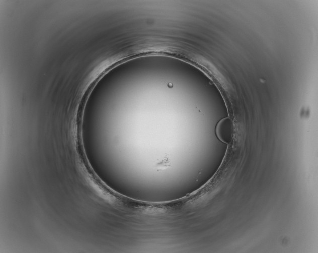 X0000097910890200803141416