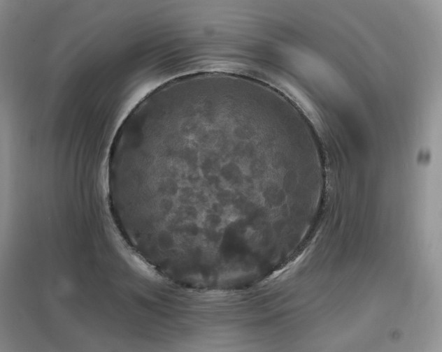 X0000097910891200803141416