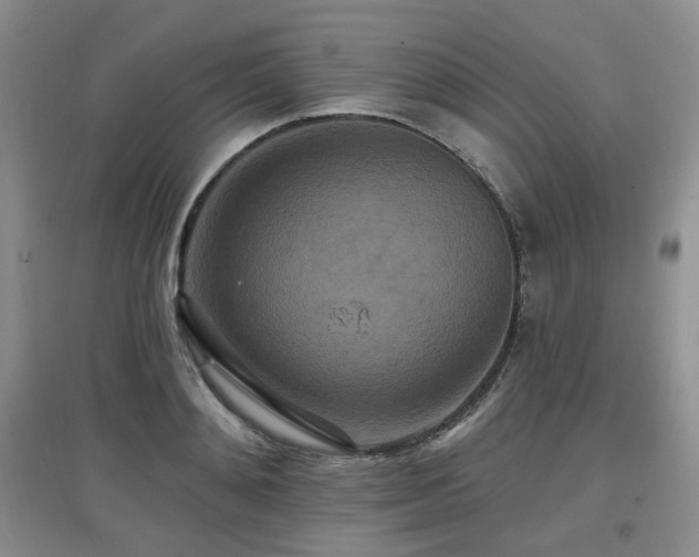 X0000097910892200803141416