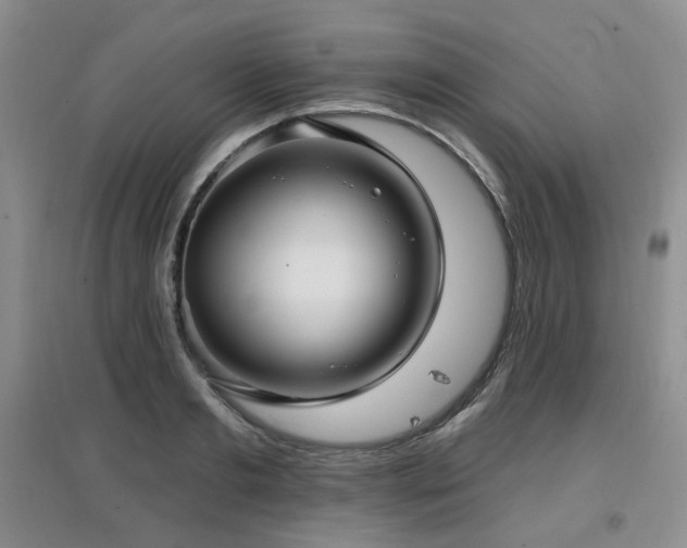 X0000097910893200803141416