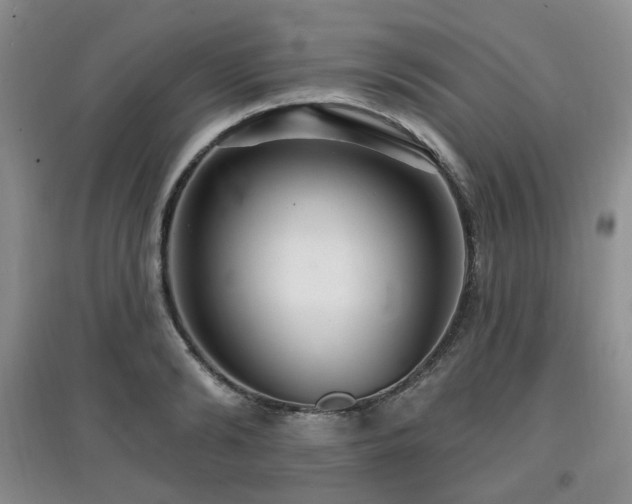 X0000097910894200803141416