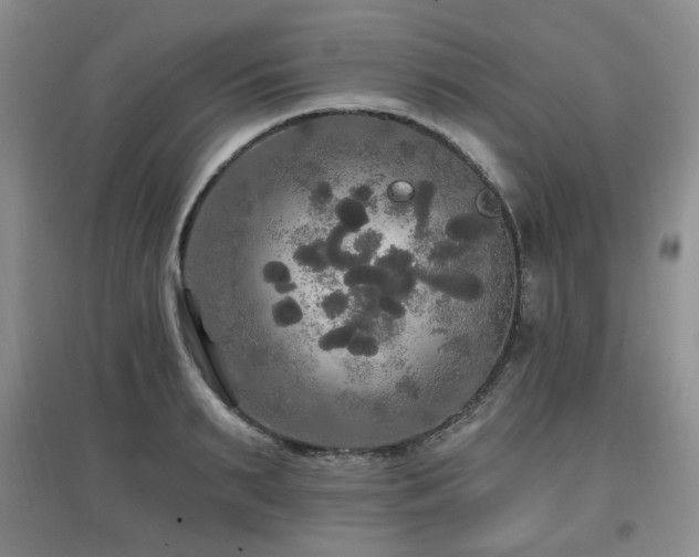 X0000097910895200803141416