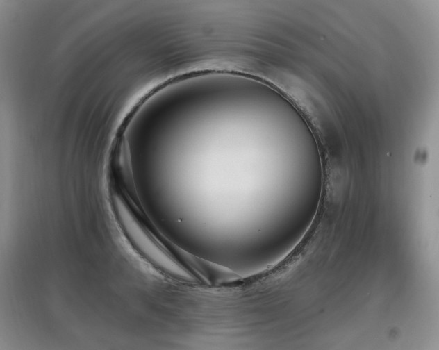 X0000097910896200803141416