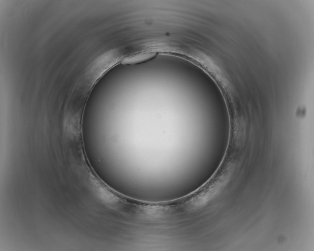 X0000097910897200803141416