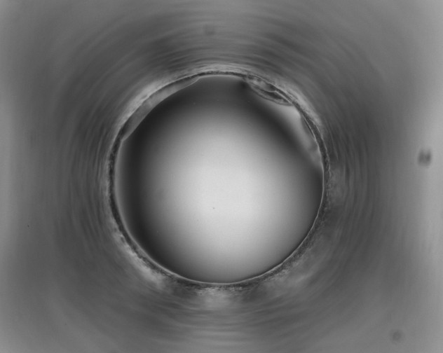 X0000097910898200803141416