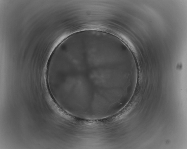 X0000097910899200803141416