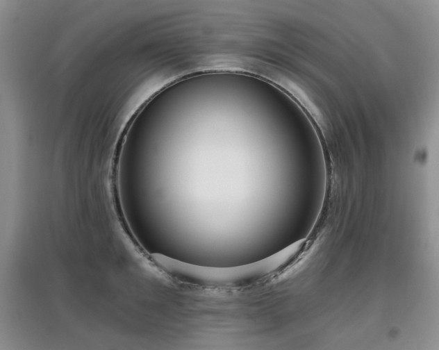 X0000097910901200803141416