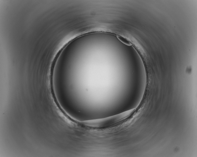 X0000097910902200803141416