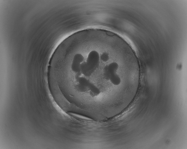 X0000097910903200803141416