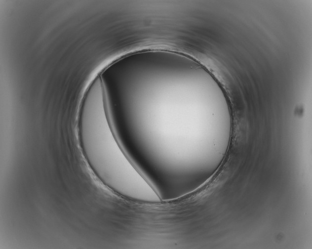 X0000097910904200803141416