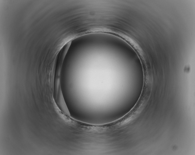 X0000097910905200803141416