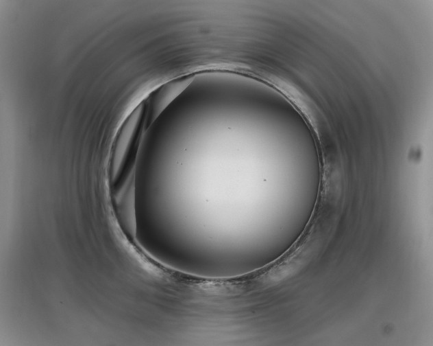 X0000097910906200803141416