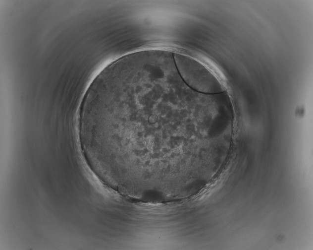 X0000097910907200803141416