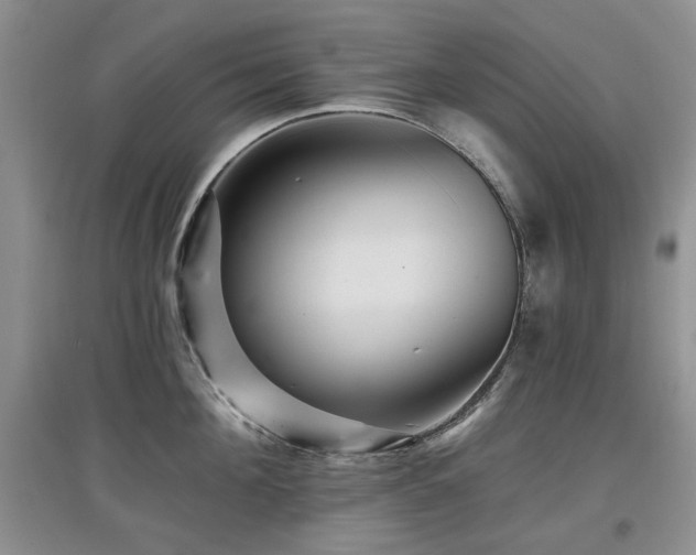 X0000097910908200803141416