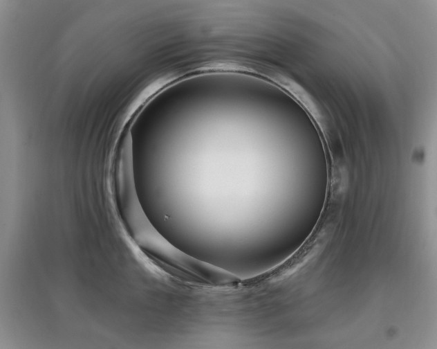 X0000097910909200803141416