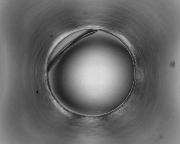 X0000097910910200803141416