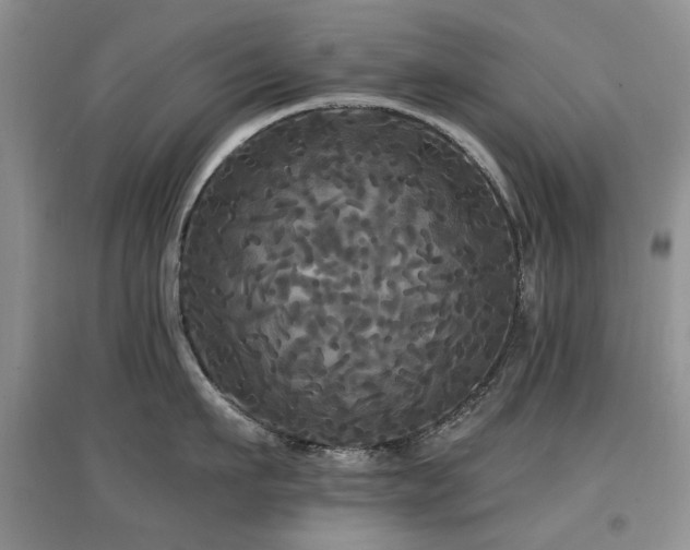 X0000097910911200803141416