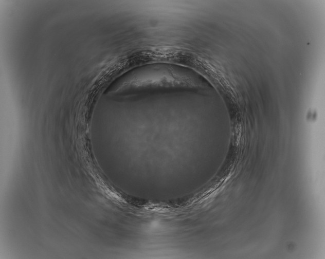 X0000097910913200803141415