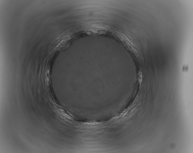 X0000097910915200803141415