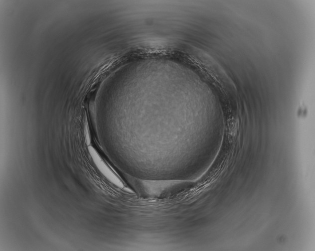 X0000097910916200803141415