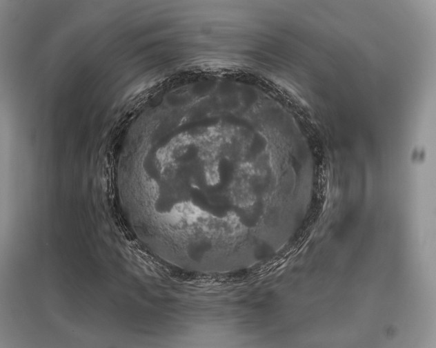 X0000097910917200803141415