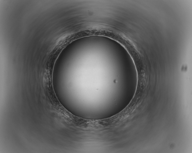 X0000097910918200803141415