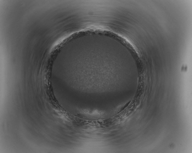 X0000097910919200803141415