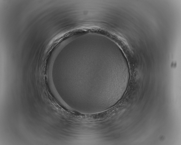 X0000097910920200803141415