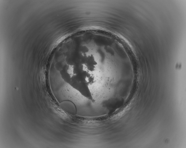 X0000097910921200803141415