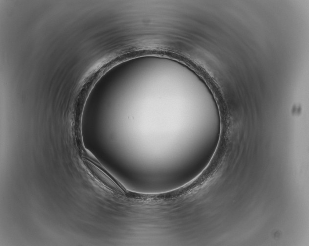 X0000097910922200803141415