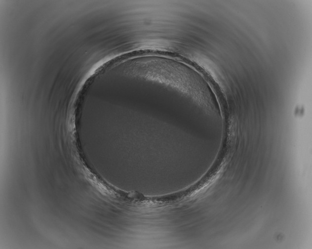 X0000097910923200803141415