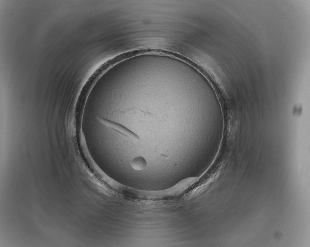 X0000097910924200803141415