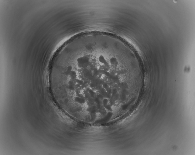 X0000097910925200803141415