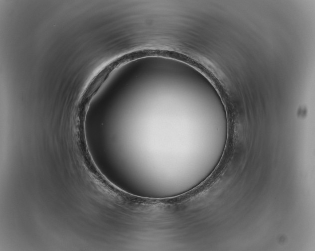 X0000097910926200803141415