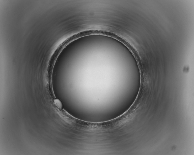 X0000097910927200803141415