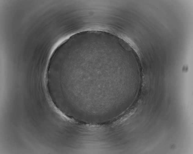 X0000097910928200803141415