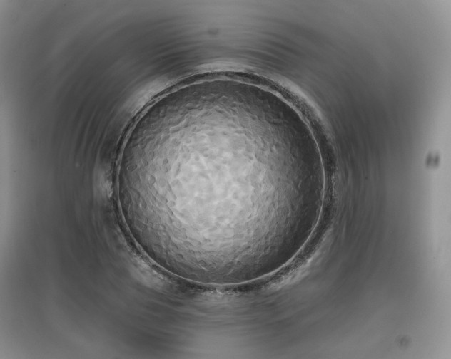 X0000097910929200803141415