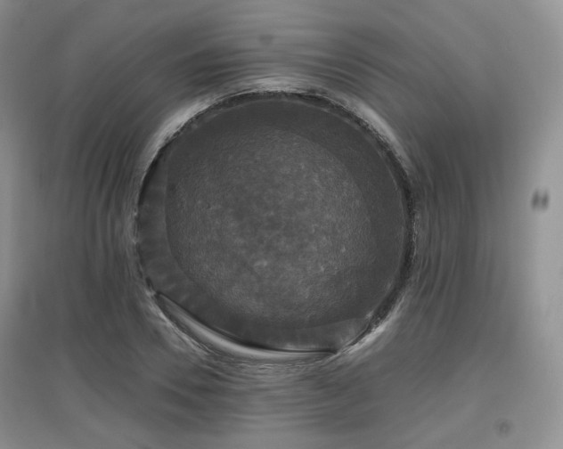 X0000097910930200803141415