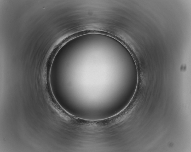 X0000097910931200803141415