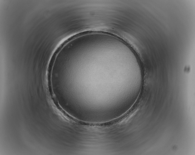 X0000097910932200803141415