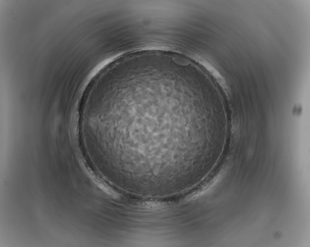 X0000097910933200803141415