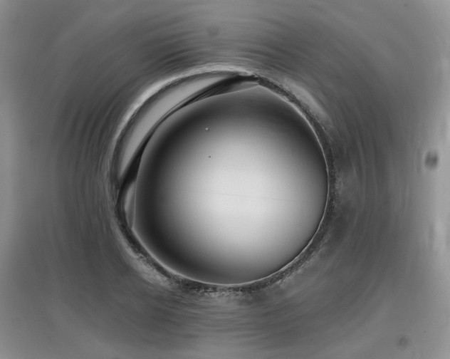 X0000097910934200803141415