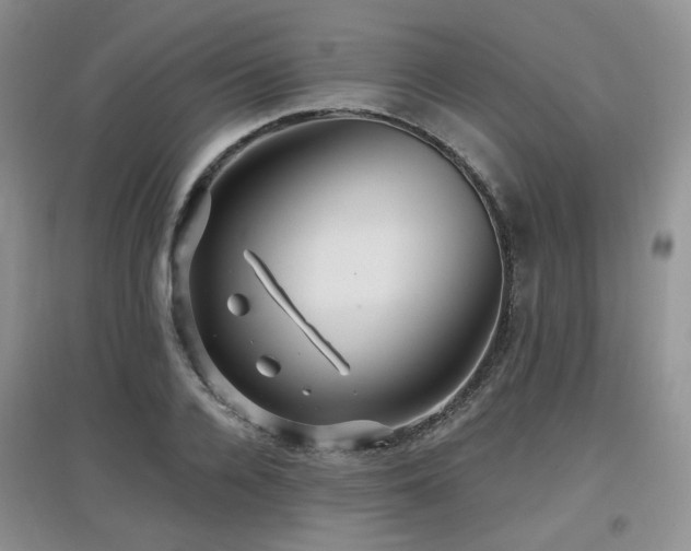 X0000097910936200803141415