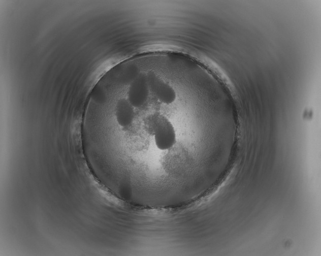 X0000097910937200803141415