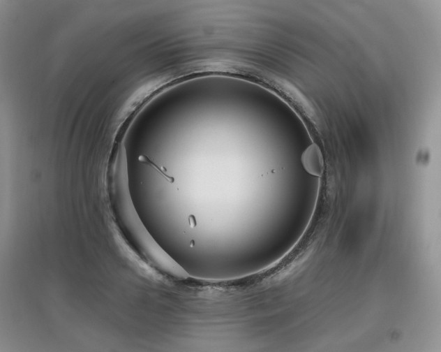 X0000097910938200803141415