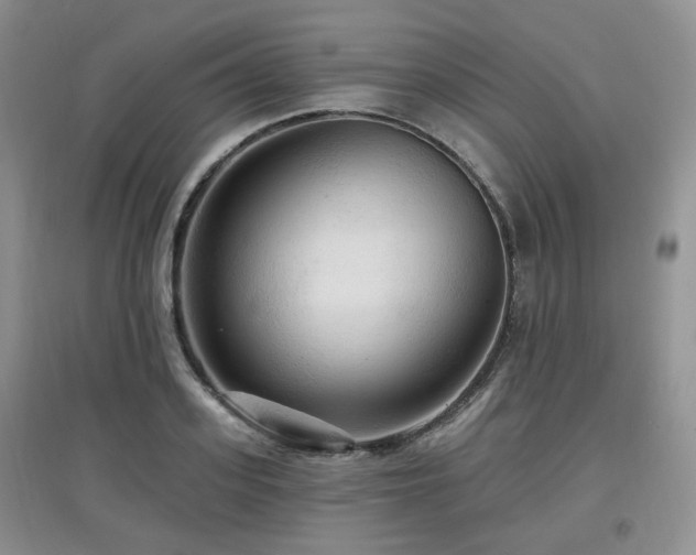 X0000097910939200803141415