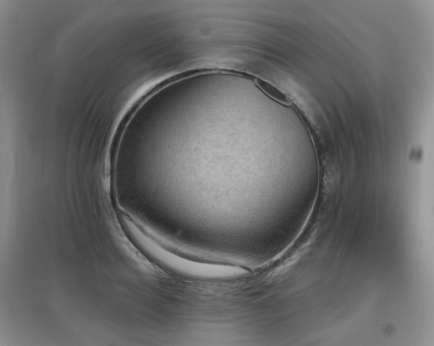 X0000097910940200803141415